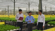 Nông nghiệp là thị trường trọng tâm, nông dân là người bạn đồng hành