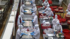 Agribank đem đến tín hiệu tích cực đối với lĩnh vực lâm, thủy sản