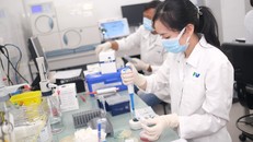 Việt kiều suýt mất chân vì vết côn trùng cắn