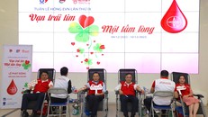 Năm thứ 9 liên tiếp, EVN triển khai chương trình hiến máu tình nguyện