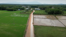 Dự án nuôi gà công nghệ cao “thay da đổi thịt” cho vùng quê nghèo