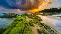 Phê duyệt quy hoạch công viên sinh thái và quảng trường Ghềnh Nam Ô