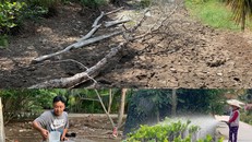 Bến Tre mùa nhiễm mặn