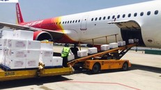 Tôm giống Mebi One xuất khẩu chính ngạch 2,5 triệu con sang Đài Loan