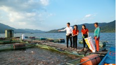 Agribank tăng quy mô tín dụng ưu đãi lĩnh vực lâm, thủy sản lên 13.000 tỷ đồng