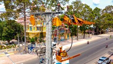 Ngành Điện miền Nam sẵn sàng phương án đảm bảo điện phục vụ sản xuất hàng dịp Tết Nguyên đán 2025 