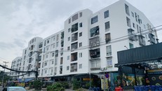 Việc sơn sửa chung cư Hiệp Bình Chánh phải tạm ngưng do không được bàn giao 1% kinh phí bảo trì.