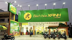 Bách Hoá Xanh tiêu thụ giá đỗ chứa chất cấm cực kỳ độc hại