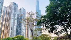 Thị trường bất động sản đang chuyển sang giai đoạn phát triển bền vững. 