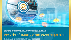 Bac A Bank hỗ trợ doanh nghiệp phát triển đường dài với lãi vay ưu đãi chỉ từ 5,5%