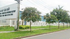 Nhà máy sản xuất E.B.C (Khu công nghiệp Giang Điền - Đồng Nai).