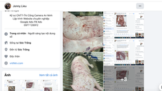 Công an Sóc Trăng (cũ) thông báo kết quả giải quyết tin tố giác tội phạm liên quan đến hình ảnh heo bệnh mà tài khoản Facebook Jonny Lieu đăng tải gây xôn xao dư luận thời gian qua.