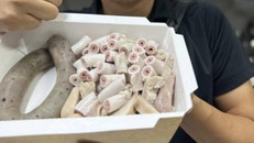 Lòng xe điếu được quảng cáo trên Facebook.