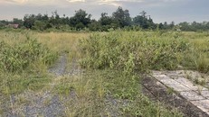 Dự án Khu dân cư Long Hưng.