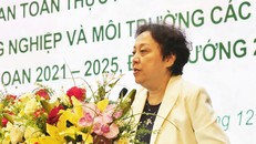 Giám đốc Sở ATTP TP.HCM: Không đánh giá an toàn thực phẩm bằng khẩu hiệu hay lời khen