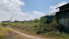 Dự án kho xăng dầu 450.000 mét khối bỏ hoang: “Lãng phí gây tổn hại lớn hơn tham nhũng”