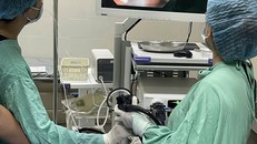 Nội soi cứu người nuốt ba bàn chải đánh răng