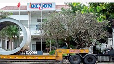 Công ty Beton 6 bị phạt hơn 107 triệu đồng.