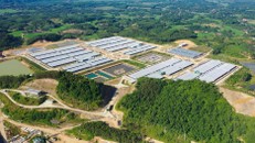 Tập đoàn Xuân Thiện bị xử phạt 85 triệu đồng do không công bố thông tin.