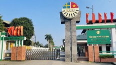 Thanh tra Chính phủ chỉ những tồn tại trong quản lý, sử dụng đất có nguồn gốc từ các công ty nông, lâm nghiệp thuộc Tổng công ty Giấy Việt Nam tại Tây Nguyên.