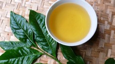 Nghĩa tình chè xanh
