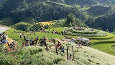 Khách du lịch tham quan vòng cung Tây Bắc.