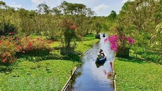 Khách du lịch đi xuồng tham quan Rừng tràm Trà Sư (huyện Tịnh Biên, An Giang). Ảnh: Thanh Sang/TTXVN.