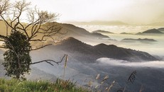 Mường Lống, nơi Tập đoàn TH đặt Trung tâm Bảo tồn và phát triển dược liệu.