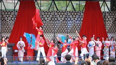 Một tiết mục văn nghệ do các bạn trẻ Việt Nam và Nhật Bản biểu diễn tại lễ hội. Ảnh: Phạm Tuân/TTXVN.