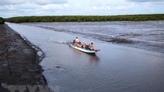 Du khách tham quan bãi bồi Cà Mau, Khu du lịch Đất Mũi, huyện Ngọc Hiển. Ảnh: Hồng Đạt/TTXVN.