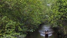 Khu bảo tồn thiên nhiên Lung Ngọc Hoàng: Điểm du lịch giàu tiềm năng