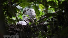 Khu Bảo tồn Vân Long phát triển du lịch gắn với bảo tồn sinh thái