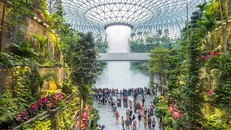 Sân bay Changi mở tour tham quan Singapore miễn phí cho khách quá cảnh