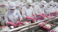 Quyết liệt tháo gỡ khó khăn, thúc đẩy sản xuất, xuất khẩu lâm sản và thuỷ sản