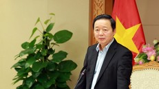 Phó Thủ tướng Trần Hồng Hà.