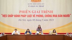 Chủ nhiệm Ủy ban Tư pháp Lê Thị Nga chủ trì phiên giải trình.