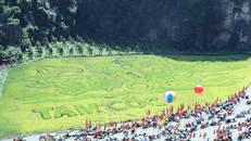 Bức tranh “Lý ngư vọng nguyệt” được tạo nên bằng những cây lúa là điểm nhấn của Tuần lễ du lịch. Ảnh: Đức Phương/TTXVN.