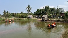 Trải nghiệm du lịch sông nước Bến Tre. Ảnh: VGP/Hoàng Trung.