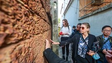 Du khách tham quan các ngôi nhà cổ tại Đường Lâm. Ảnh: Minh Sơn/TTXVN.