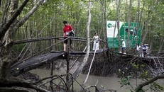 Du khách tham gia tour xuyên rừng Đất Mũi Cà Mau. Ảnh: Hồng Đạt/TTXVN.