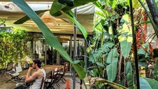 Việt Nam: Điểm đến lý tưởng để du lịch kết hợp làm việc từ xa