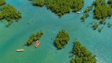 Gia hạn thời gian thí điểm dịch vụ tàu lặn tại Vịnh Nha Trang