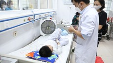 [Infographics] Số ca mắc thủy đậu trên địa bàn Hà Nội tăng trở lại