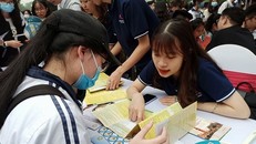 Thí sinh tìm hiểu thông tin các ngành đào tạo và trường đại học. Ảnh: Phạm Mai/TTXVN.