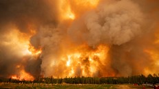 Khói lửa bốc lên từ đám cháy rừng.