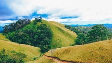 Cung đường Tà Năng. Nguồn: Cục Du lịch Quốc gia Việt Nam.