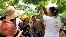 Đa dạng sản phẩm du lịch mang bản sắc văn hóa