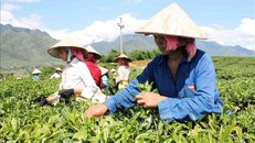 [Infographics] Thành tựu giảm nghèo Việt Nam giai đoạn 2016-2022