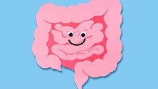 Hệ thần kinh ruột được ví như bộ não thứ hai của con người.