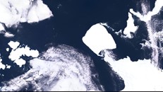 Ảnh vệ tinh cho thấy tảng băng A23a đang dịch chuyển tại Nam Cực vào ngày 15/11. Ảnh: Reuters.